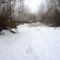 Téli kisvizes időszak az Erdei Duna-ágon, Lipót 2017. február 03.-án 15