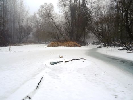 Téli kisvizes időszak az Erdei Duna-ágon, Lipót 2017. február 03.-án 17