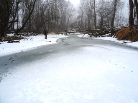 Téli kisvizes időszak az Erdei Duna-ágon, Lipót 2017. február 03.-án 19
