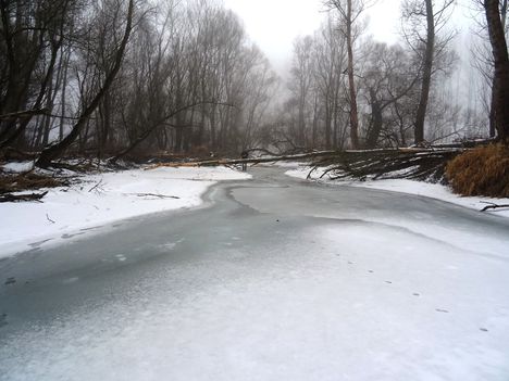 Téli kisvizes időszak az Erdei Duna-ágon, Lipót 2017. február 03.-án 20