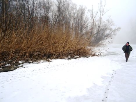 Téli kisvizes időszak az Erdei Duna-ágon, Lipót 2017. február 03.-án 21