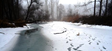 Téli kisvizes időszak az Erdei Duna-ágon, Lipót 2017. február 03.-án 5