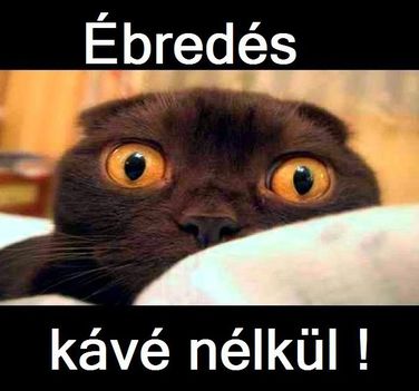 bredés!