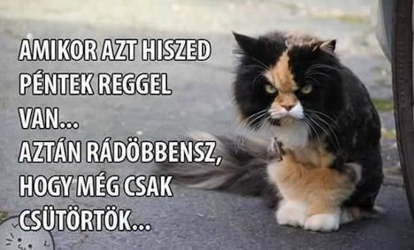 Döbbenet!