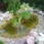Dsc00015_225338_71656_t