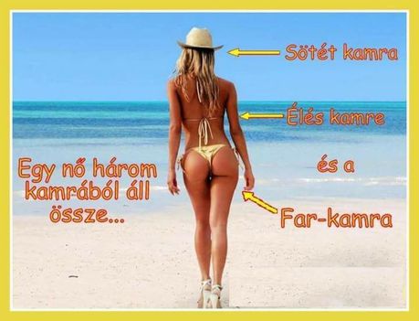 Három kamra!