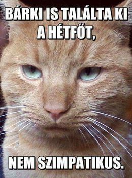 Hétfő!