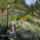 Kertreszlet_sziklakertel_225591_66285_t
