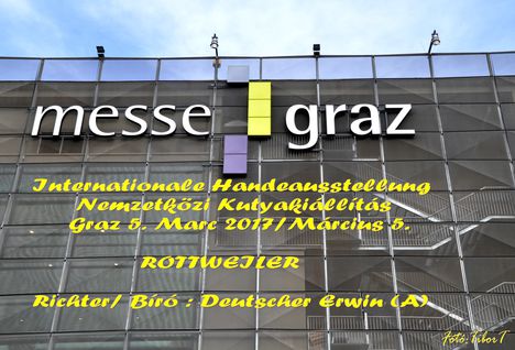 Rottweiler - CACIB  GRAZ-2017. Nemzetközi Kutyakiállítás