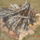 Tuz_3_225399_25703_t