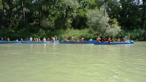 Vizitúrázók a Gögetegi Duna-ágon, Dunakiliti 2016. július 26.-án