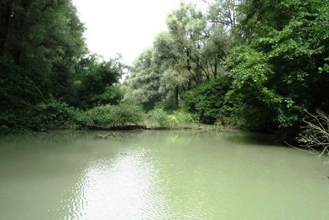 A Külső-Lószigetet határoló Dunai mellékág az  Ilonai csatorna, Kisbodak 2016. július 14.-én 1
