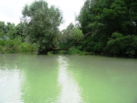 A Külső-Lószigetet határoló Dunai mellékág az  Ilonai csatorna, Kisbodak 2016. július 14.-én 2