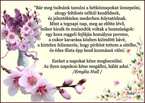 Napok