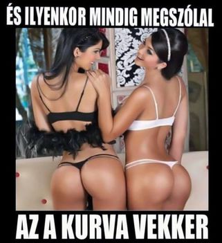 Egyszer minden jó véget ér!