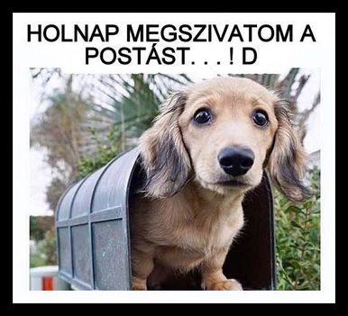 Holnap is !