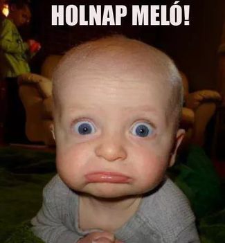 Holnap is újra meló!