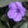 Kedvenceim16_5-027_227375_37360_t