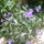 Kedvenceim16_5-028_227376_90035_t