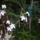 Kedvenceim16_5-040_227383_44560_t