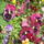 Kedvenceim16_5-043_227386_54759_t