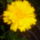 Kedvenceim16_5-044_227387_87554_t