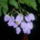 Kedvenceim16_5-047_227390_76438_t