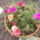 Kedvenceim16_5_227361_55889_t