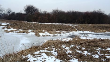 Lajta Összekötő csatorna a felső bukónál, Hegyeshalom 2017. január 26.-án