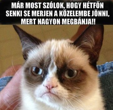 Már megint!
