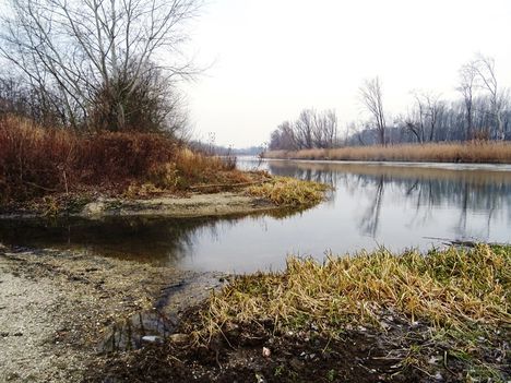 Mosoni-Duna folyó a Csiszló-ér kiágazásánál, Mecsér 2017. február 10 .-én 1