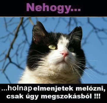 Odafigyelek!