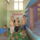 S7307249_227471_87532_t