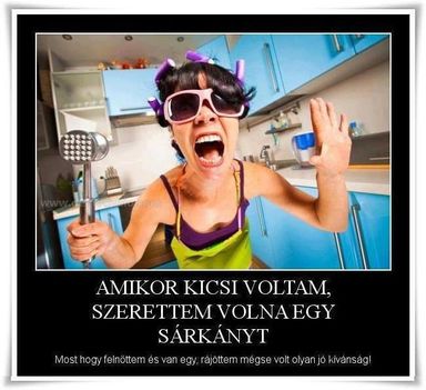 Sárkány!