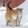 Teli_baratsag_2027361_9836_t