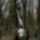 20170324_11_2028413_2058_t