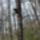 20170324_2_2028407_3246_t