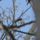 20170328_10_2028518_2945_t