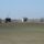 20170328_7_2028525_1342_t