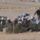 Egyiptom_2008_162_228533_98050_t