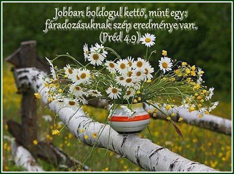 Ige  a mai  napra