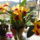 Orcik_1_2028869_7203_t