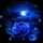 Szinvaltos_rozsa_2028293_7218_t