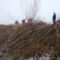 Vízügyes dolgozók tisztítják a Duna folyam  1823-as fkm-ében a Füzesi töltőbukót, Lipót 2017. február 03.-án 1