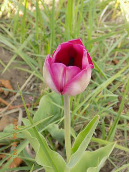 018