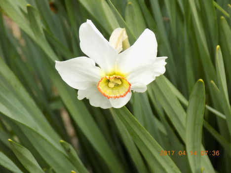 021