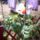 Kep_048_229400_42882_t