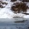 A hódok léket rágtak a befagyott Aranyosszigeti halátjáróban, Mosoni-Duna bal part, Mosonmagyaróvár 2017. január 16.-án
