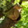 A_megcsonkitott_202993_54133_t