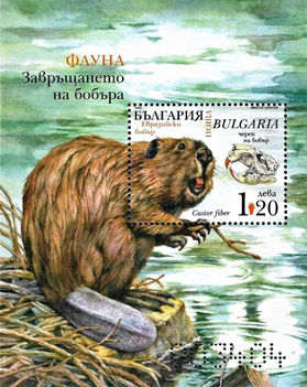 Állatvilág